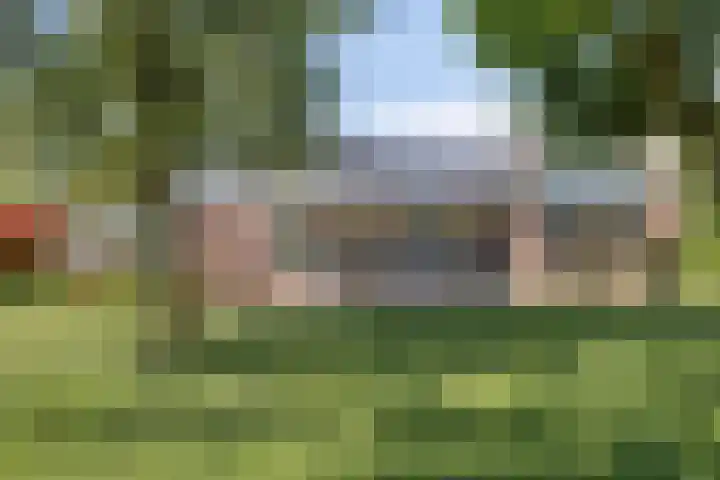 W.F. Hildebrandstraat 53 Garmerwolde thumbnail 45