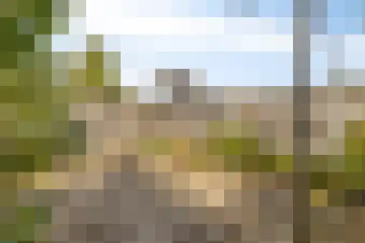 W.G. Bootlaan 23 Burgh-Haamstede thumbnail 25