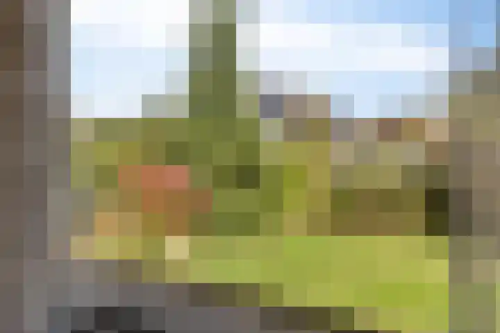 W.G. Bootlaan 23 Burgh-Haamstede thumbnail 9