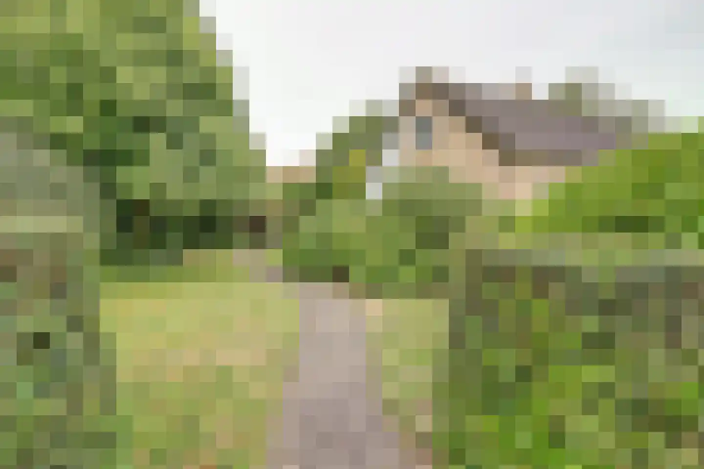 W.G. Bootlaan 28 Burgh-Haamstede thumbnail 26