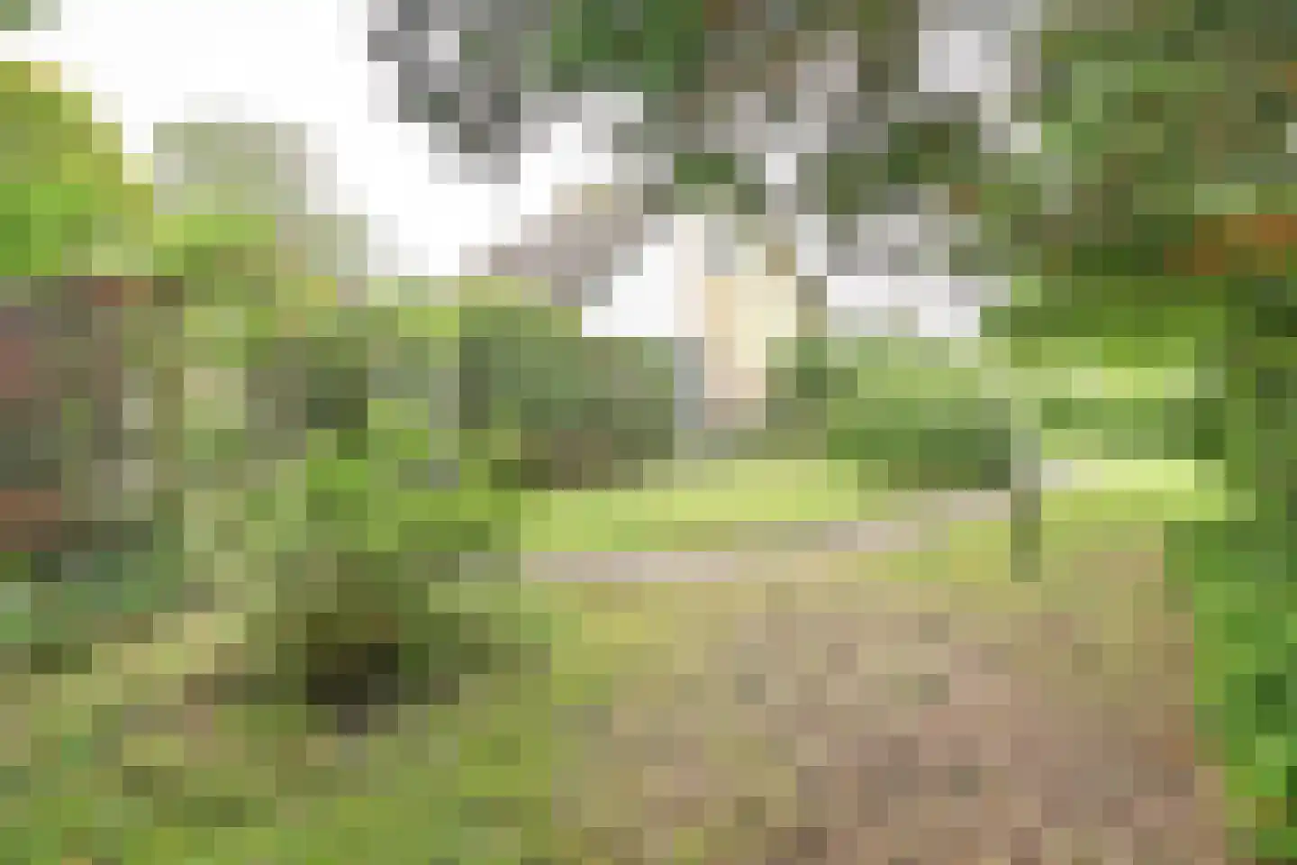 W.G. Bootlaan 28 Burgh-Haamstede thumbnail 27