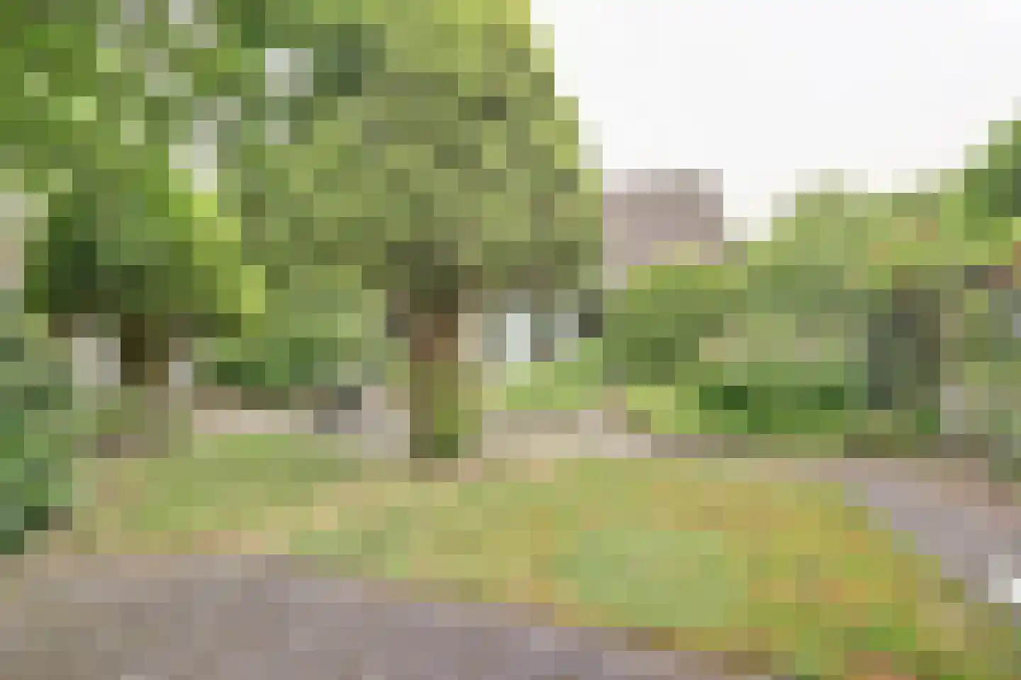 W.G. Bootlaan 28 Burgh-Haamstede thumbnail 30