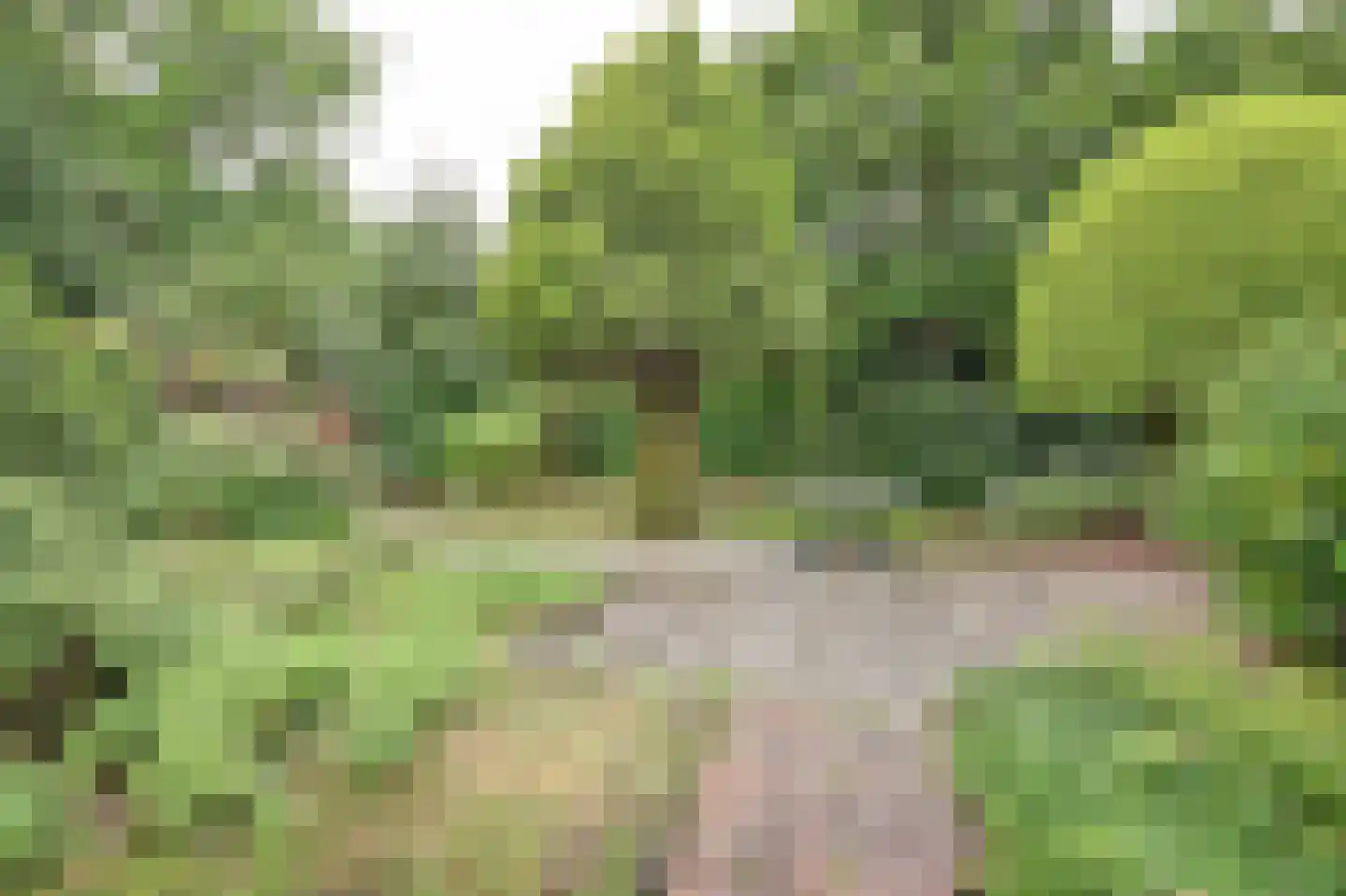 W.G. Bootlaan 28 Burgh-Haamstede thumbnail 33