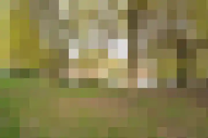 W.G. van de Hulststraat 14 Almere thumbnail 55