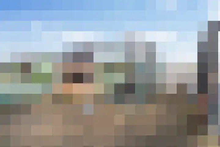 W.G. Witteveenplein 113 Rotterdam thumbnail 22