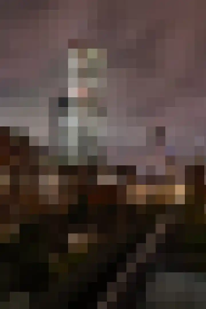 W.G. Witteveenplein 113 Rotterdam thumbnail 27