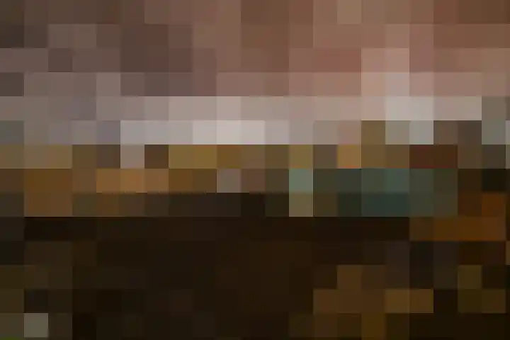W.G. Witteveenplein 113 Rotterdam thumbnail 4