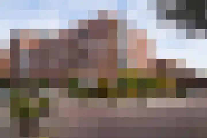 W.G. Witteveenplein 13 C Rotterdam thumbnail 29