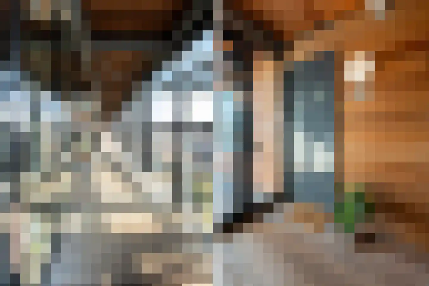 W.G. Witteveenplein 15 D Rotterdam thumbnail 9