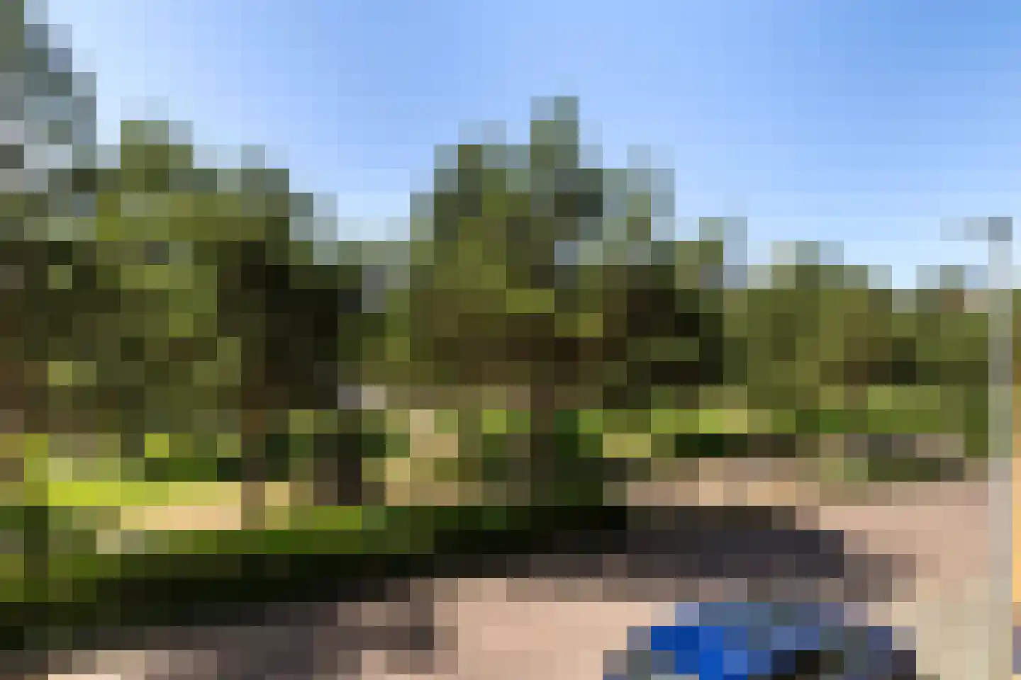 W.G. Witteveenplein 69 Rotterdam thumbnail 6