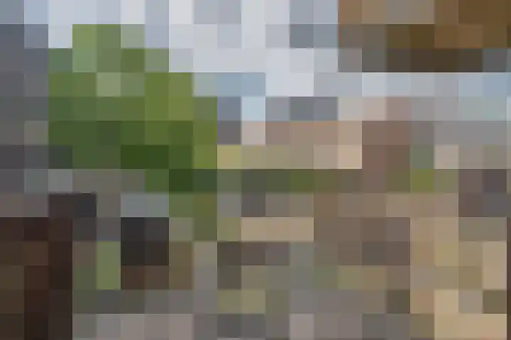 W.G. Witteveenplein 70 Rotterdam thumbnail 7