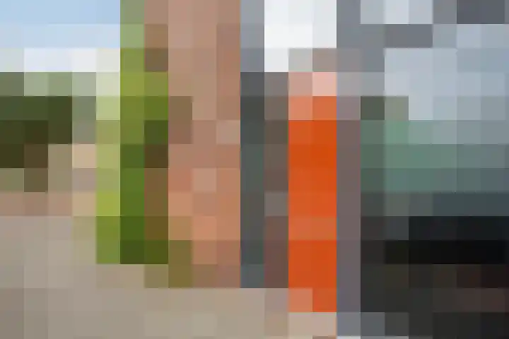 W.G. Witteveenplein 81 Rotterdam thumbnail 25