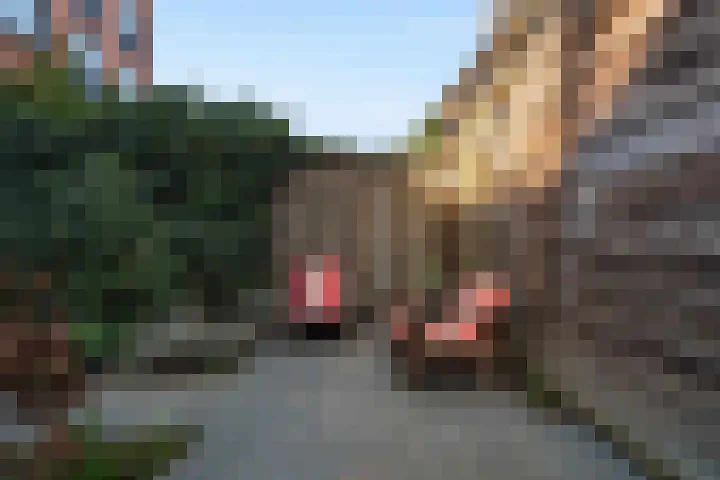 W.G. Witteveenplein 85 Rotterdam thumbnail 17
