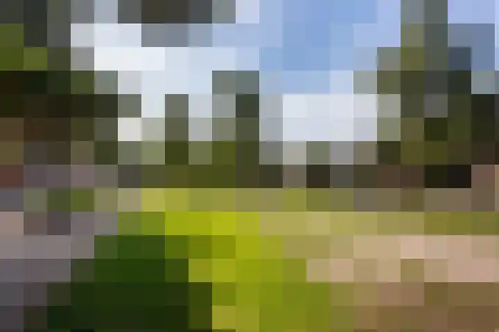 W.G. Witteveenplein 98 Rotterdam thumbnail 22