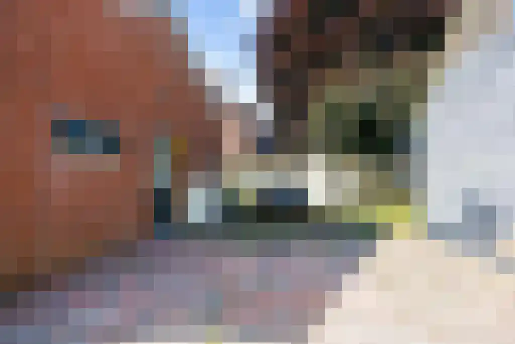 W.H. Bosgrastraat 34 Oude Pekela thumbnail 33