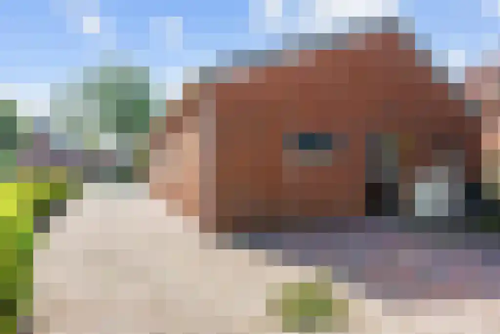 W.H. Bosgrastraat 34 Oude Pekela thumbnail 34