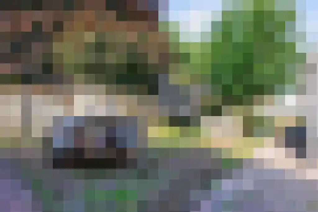 W.H. Bosgrastraat 34 Oude Pekela thumbnail 35