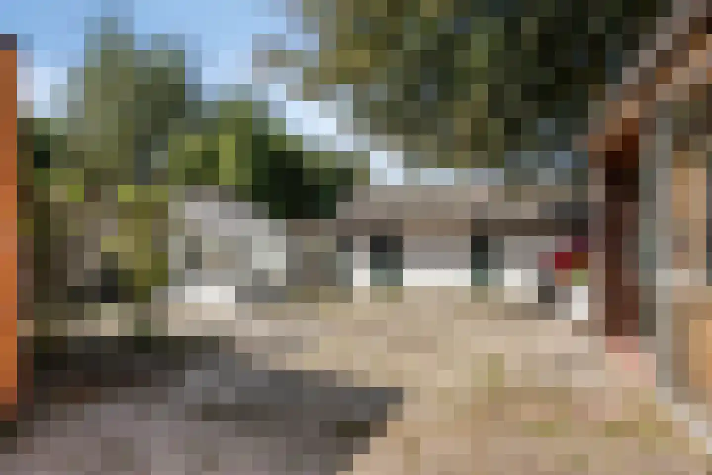W.H. Bosgrastraat 44 Oude Pekela thumbnail 32