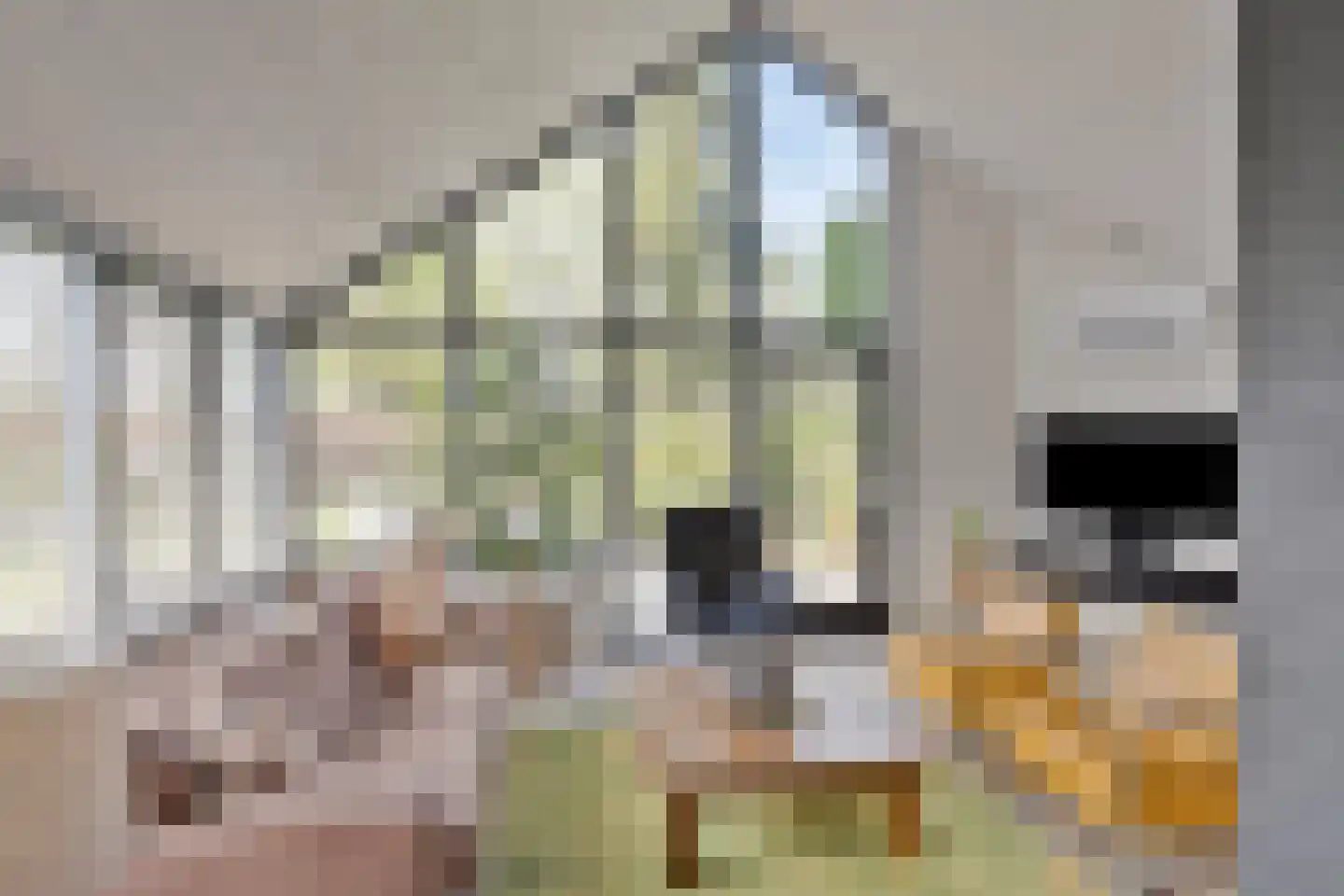 W.H.Jordaansingel 34 Haaksbergen thumbnail 11