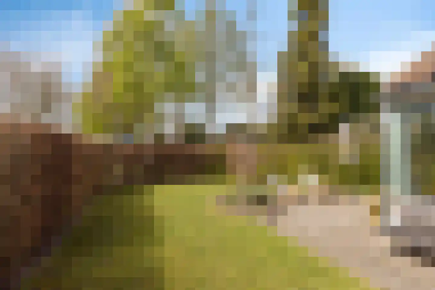 W.H.Jordaansingel 34 Haaksbergen thumbnail 42