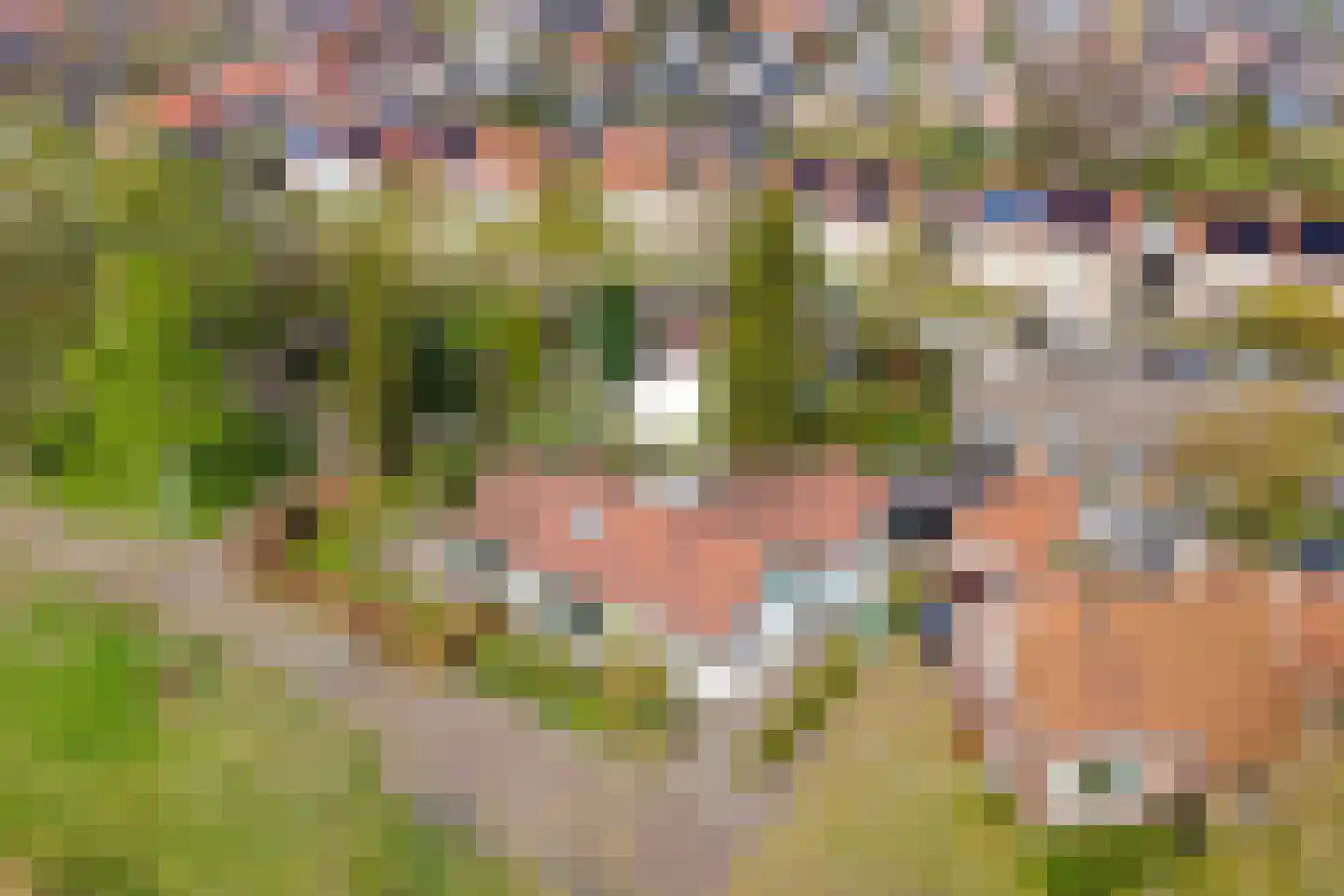 W.H.Jordaansingel 34 Haaksbergen thumbnail 58