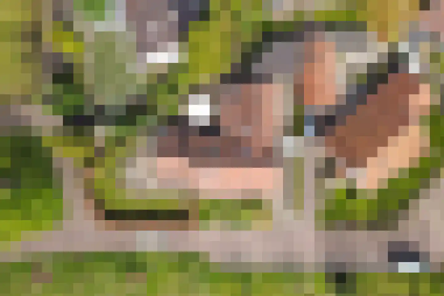 W.H.Jordaansingel 34 Haaksbergen thumbnail 63