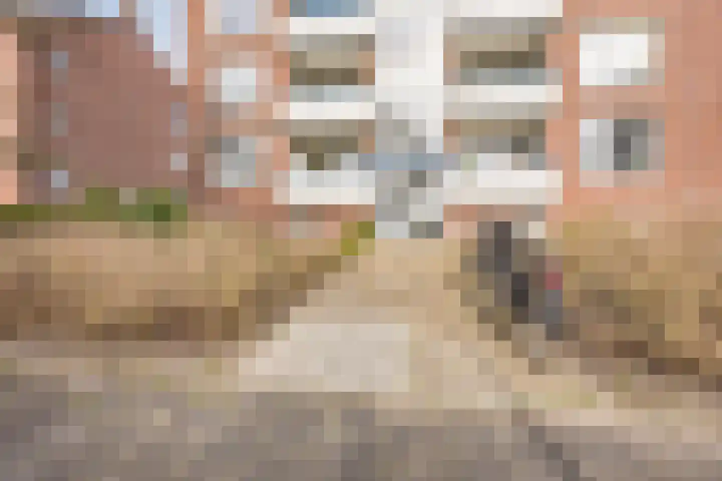 W.H. van Leeuwenlaan 120 Delft thumbnail 6