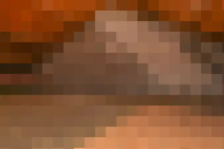 W.H. van Leeuwenlaan 142 Delft thumbnail 26