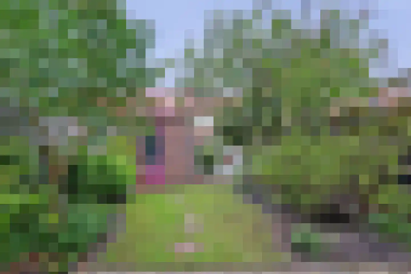 W.J. Bossenbroekstraat 48 Utrecht thumbnail 4