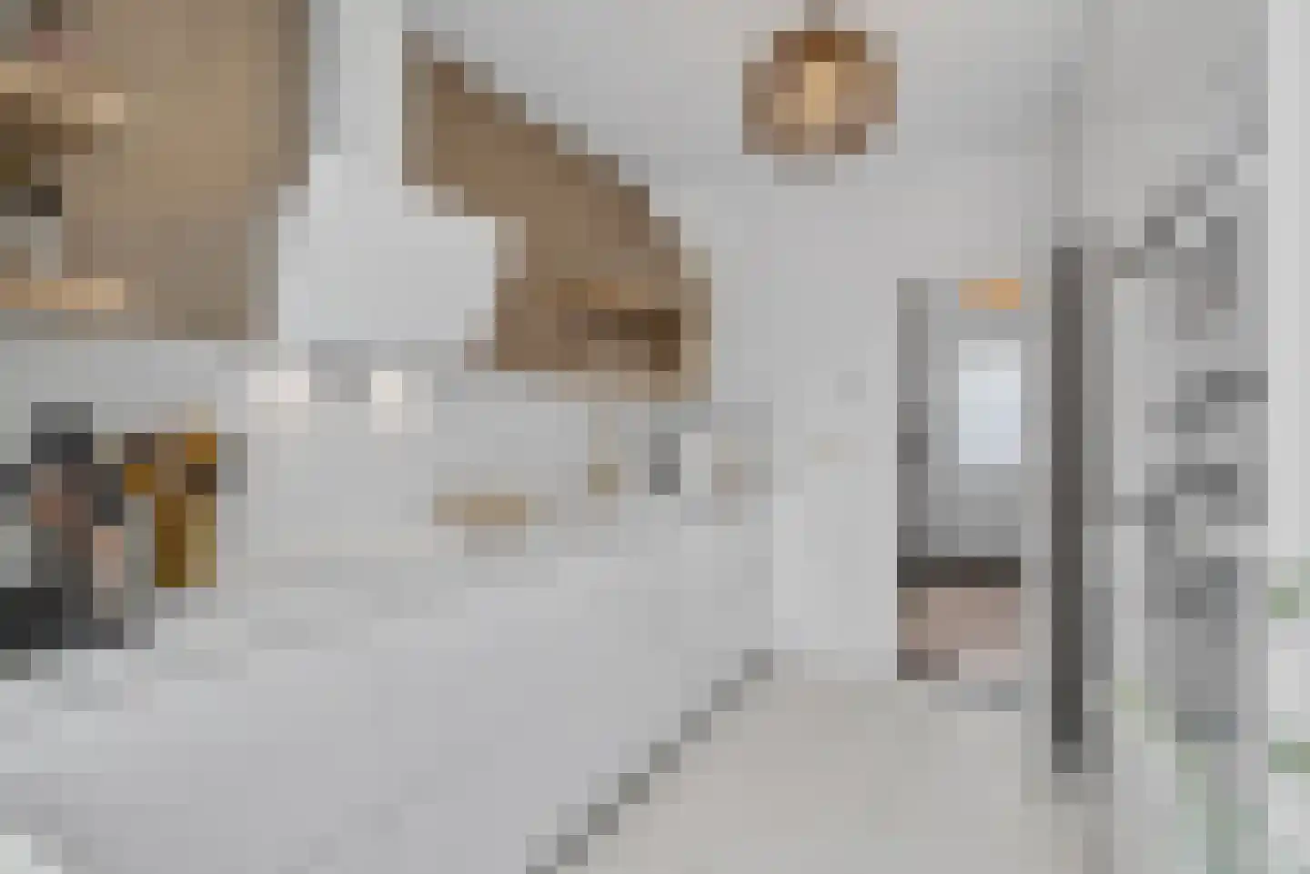W.J. van Ghentstraat 29 Vught thumbnail 17