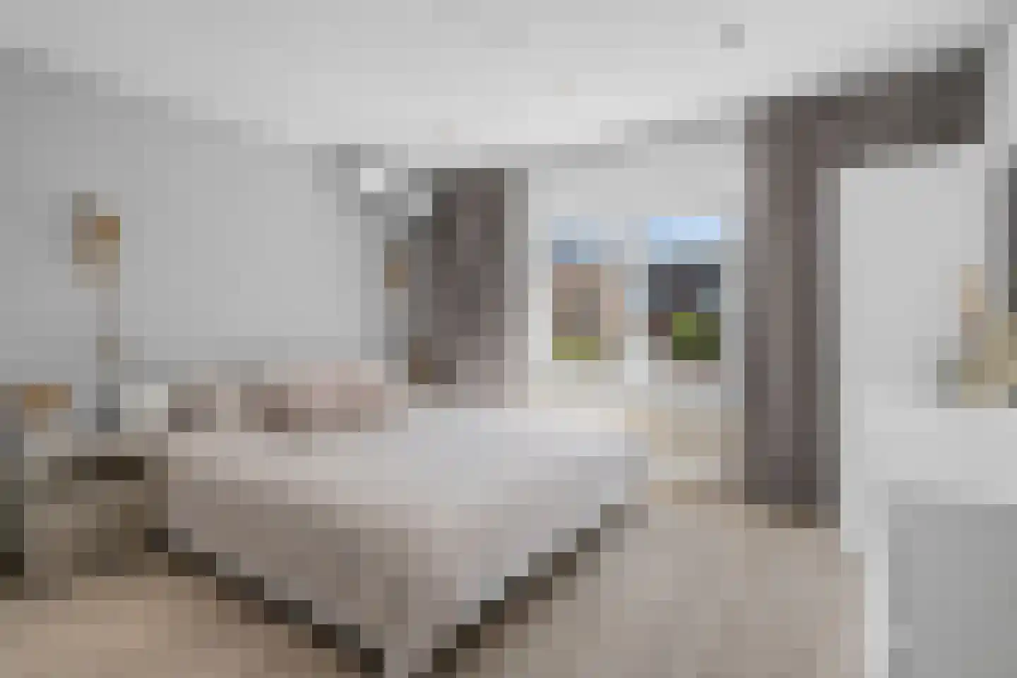 W.J. van Ghentstraat 29 Vught thumbnail 27