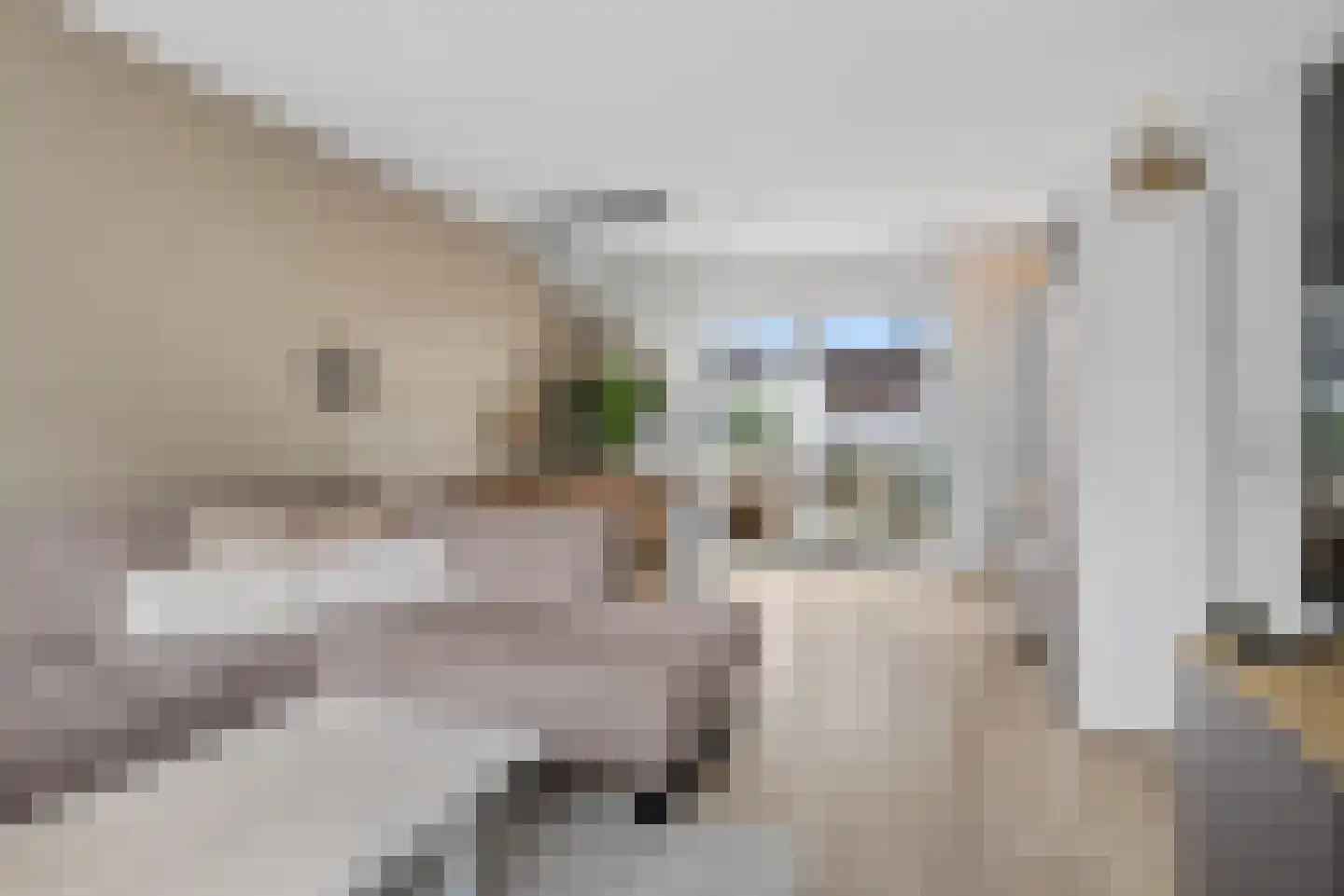 W.J. van Ghentstraat 29 Vught thumbnail 7