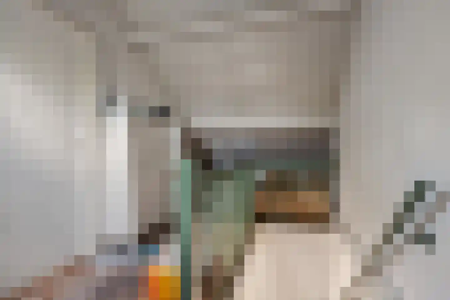 W.J. van Ghentstraat 34 Vught thumbnail 14