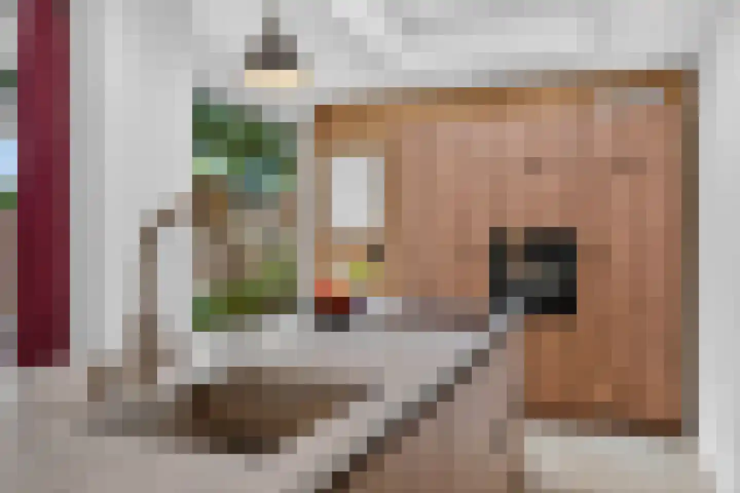 W.J. van Ghentstraat 8 Vught thumbnail 13