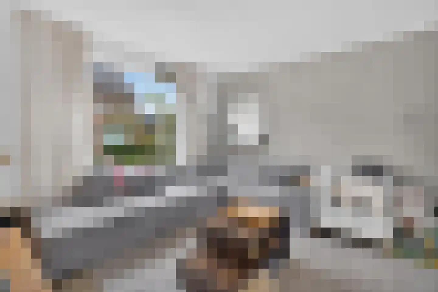 W.J. van Ghentstraat 8 Vught thumbnail 4