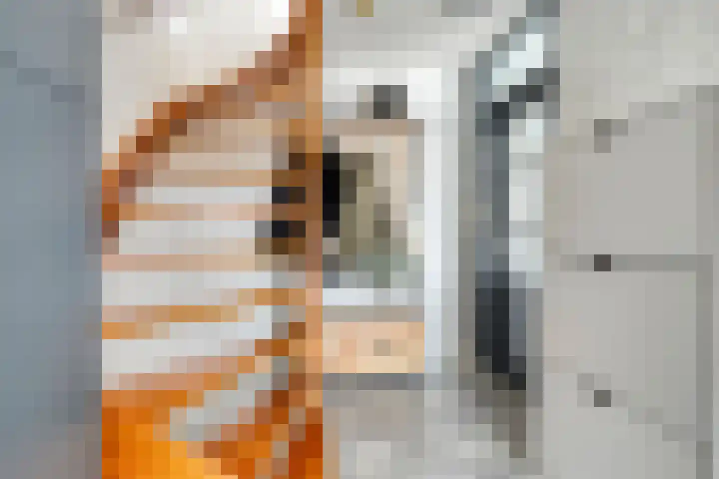 W Jaasmasingel 16 Dwingeloo thumbnail 14