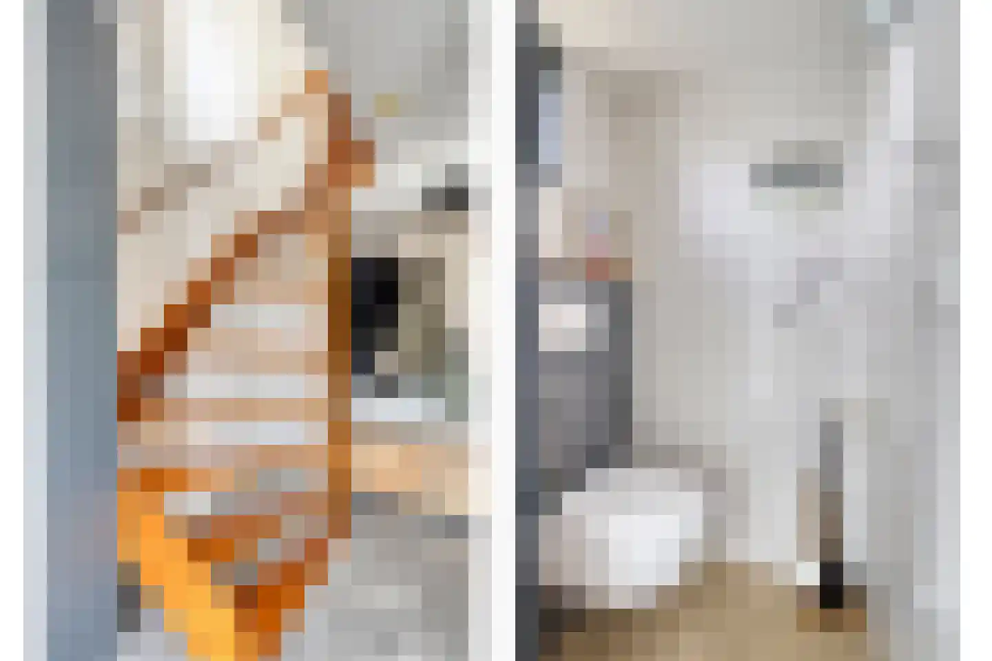 W Jaasmasingel 16 Dwingeloo thumbnail 17