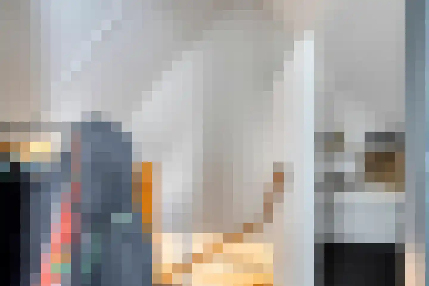 W Jaasmasingel 16 Dwingeloo thumbnail 28