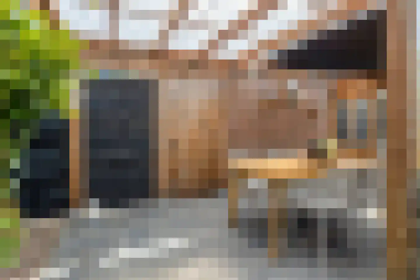 W Jaasmasingel 16 Dwingeloo thumbnail 36