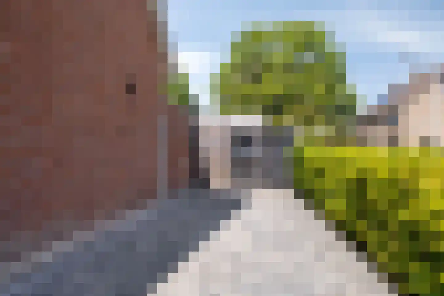 W Jaasmasingel 16 Dwingeloo thumbnail 43