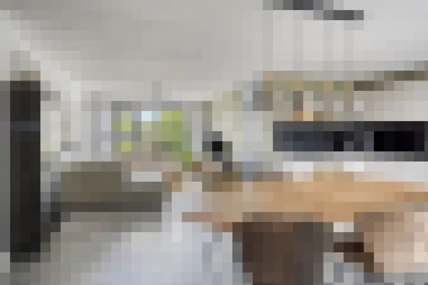 W Jaasmasingel 16 Dwingeloo thumbnail 6