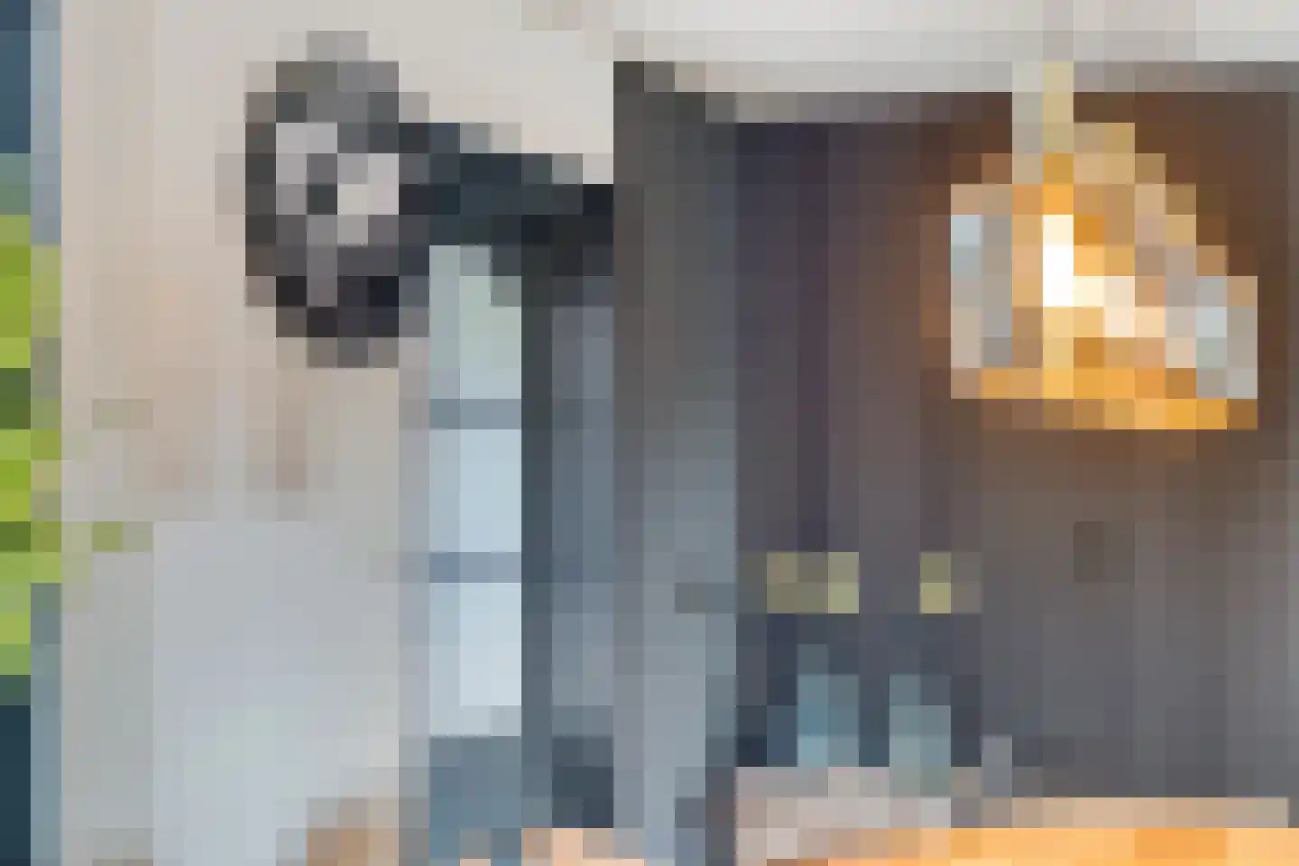 W Jaasmasingel 16 Dwingeloo thumbnail 9