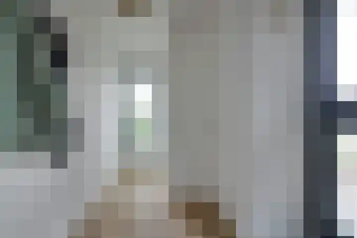 W Jaasmasingel 18 Dwingeloo thumbnail 14