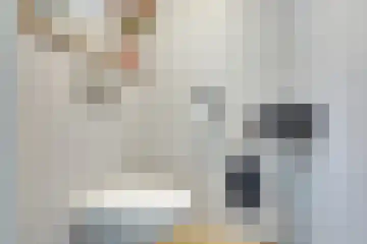 W Jaasmasingel 18 Dwingeloo thumbnail 15