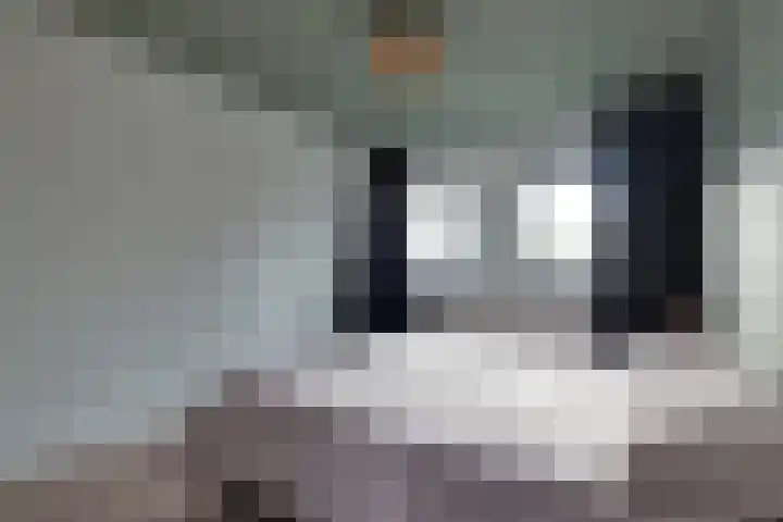 W Jaasmasingel 18 Dwingeloo thumbnail 20