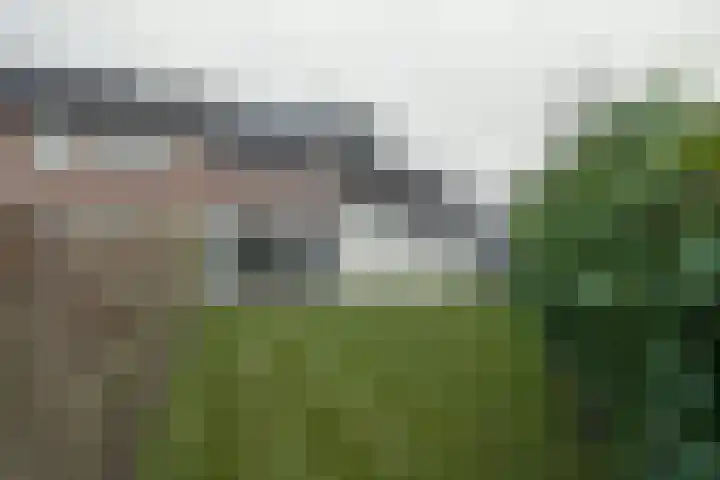 W Jaasmasingel 18 Dwingeloo thumbnail 30