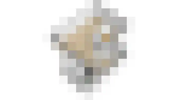 W Jaasmasingel 18 Dwingeloo thumbnail 35