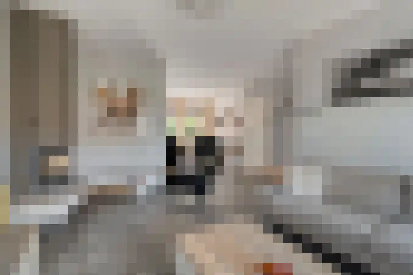 W Jaasmasingel 23 Dwingeloo thumbnail 10