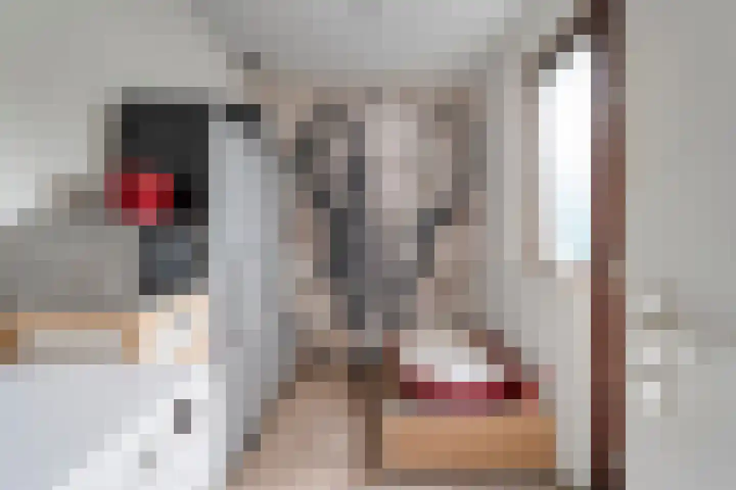 W Jaasmasingel 23 Dwingeloo thumbnail 18