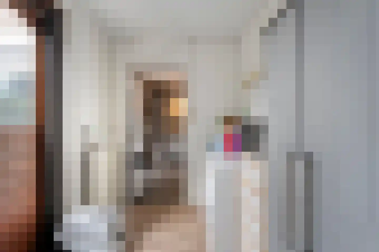 W Jaasmasingel 23 Dwingeloo thumbnail 19